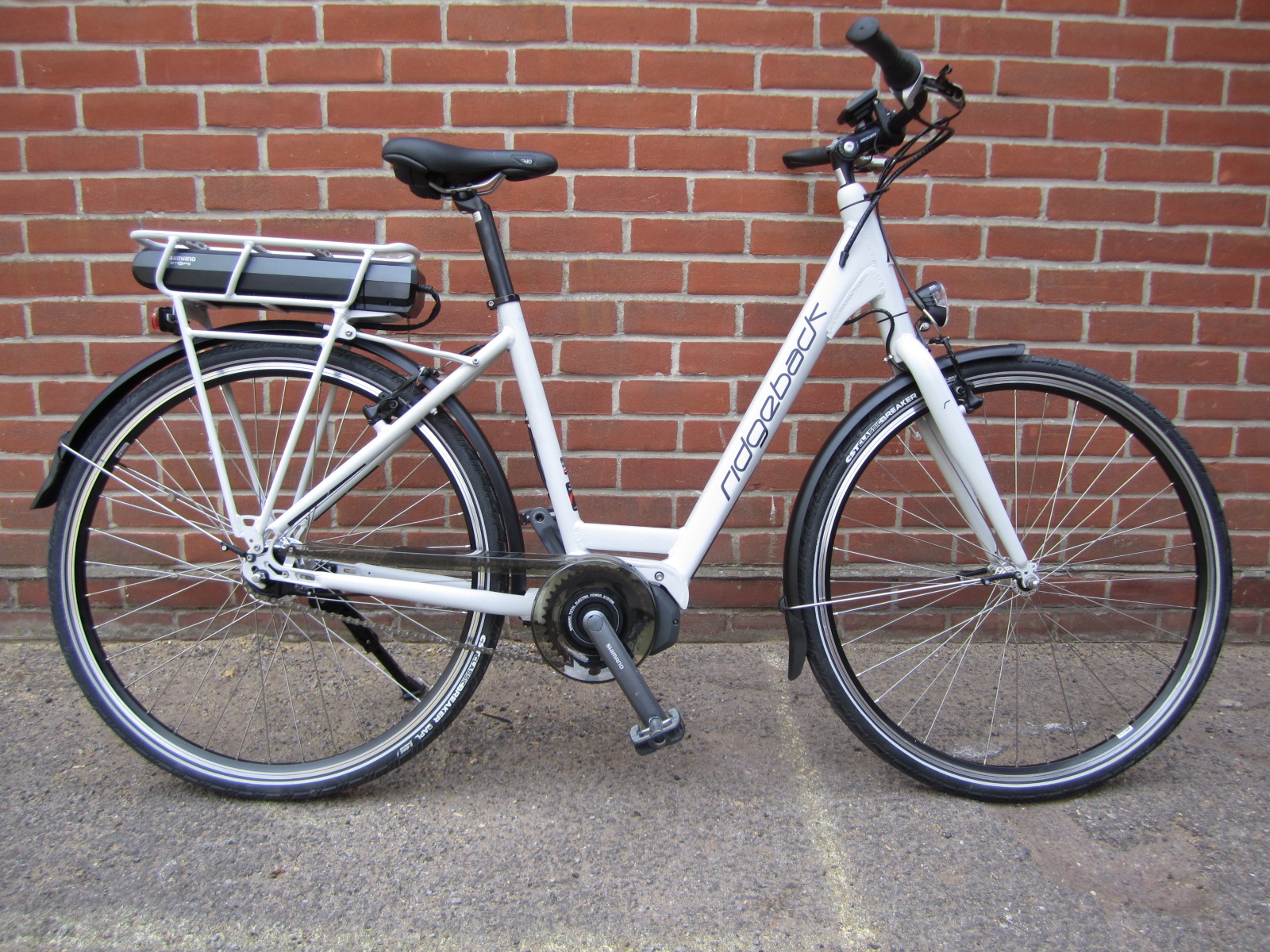 ridgeback electron