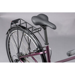 Ridgeback Speed Open Frame Purple click to zoom image