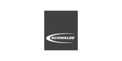 Schwalbe