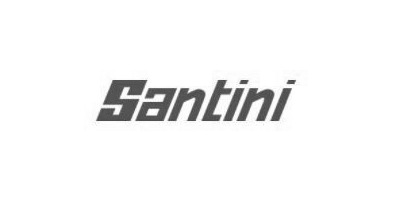 Santini logo