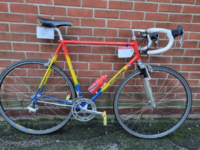 1991 Billato - Greg Lemond Team Z