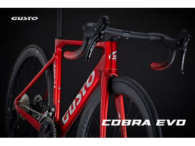 Gusto Cobra Evo DB Sport TE 
