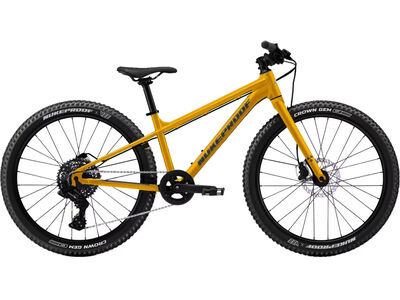 Nukeproof Tracker 24 