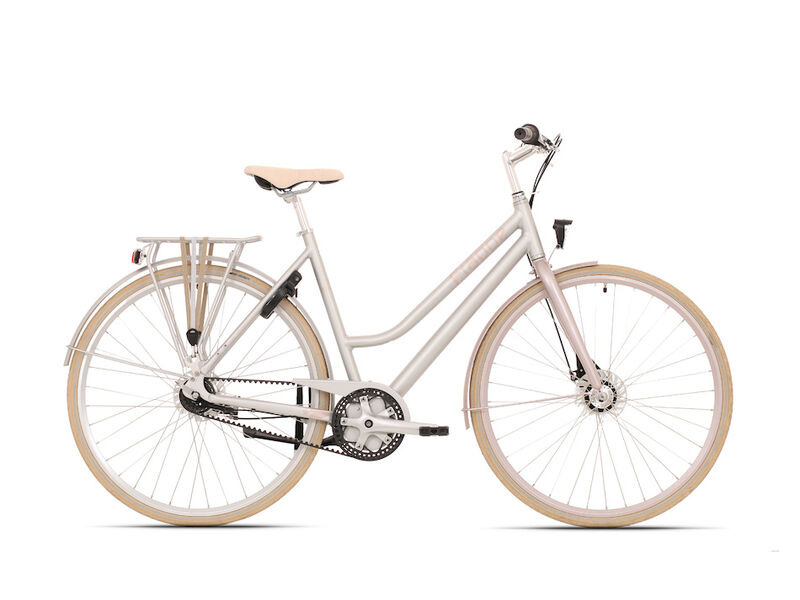 ridgeback voyage 2018